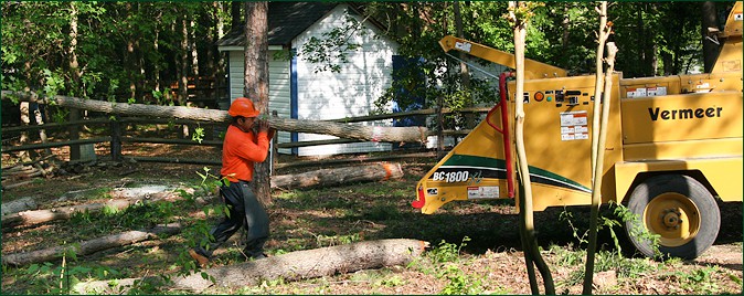 Tree Care Equipment